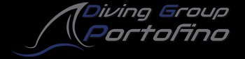 diving group portofino