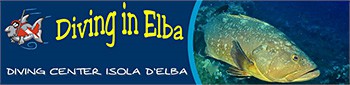 Diving in Elba