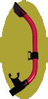 Snorkel