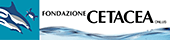 fondazione Cetacea