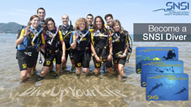 SNSI - corsi subacquei