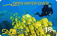 brevetto open water